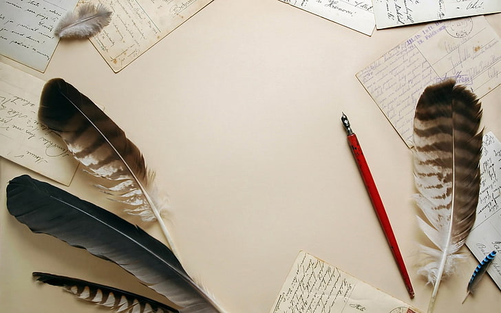 коричневые и черные перья, винтаж, ручки, писчая бумага, HD обои