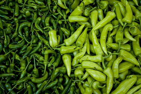 green hot chilli peppers, pepper, chile, sweet pepper, green, HD wallpaper HD wallpaper
