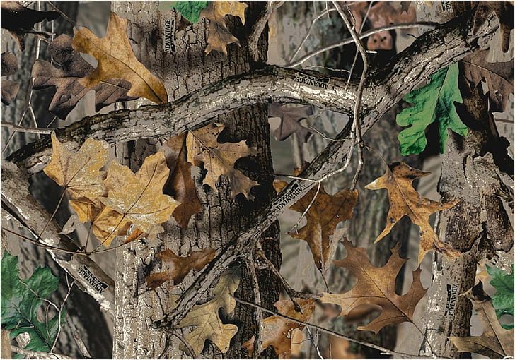 التمويه ، Wallenstein Ais ، Woodland Camouflage، خلفية HD