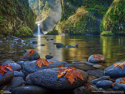 Dampfige Morgen-National Geographic-Tapete, graue Steine, HD-Hintergrundbild HD wallpaper