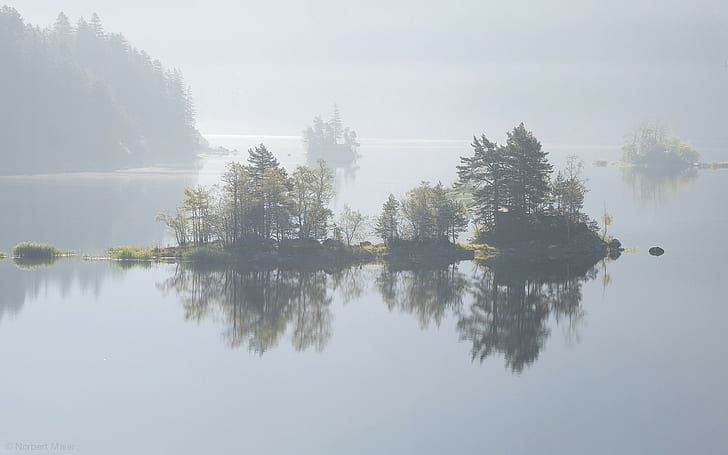 natura, fotografia, paesaggio, lago, alberi, nebbia, acque calme, riflesso, isola, luce del giorno, Sfondo HD