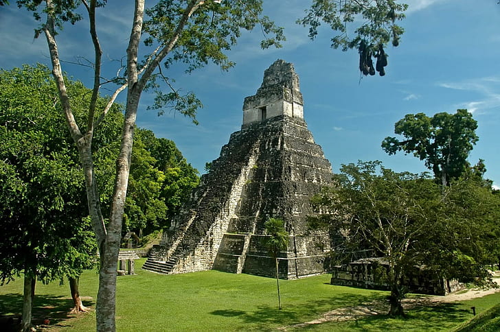 Пирамидель дель Гран Ягуар, Петен Гватемала, майя, древние, пирамида, парк, природа и пейзажи, HD обои