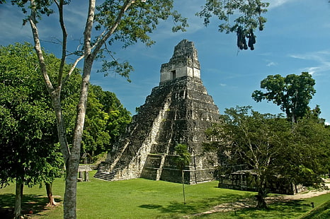 ピラミデデルグランジャガー、ペテングアテマラ、マヤ、古代、ピラミッド、公園、自然と風景、 HDデスクトップの壁紙 HD wallpaper