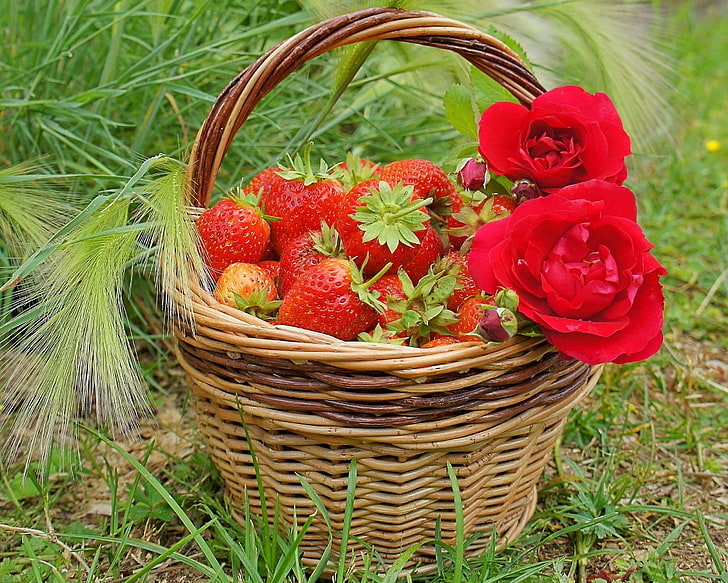 red rose flower, red strawberries, and basket, berries, rose, strawberry, basket, HD wallpaper