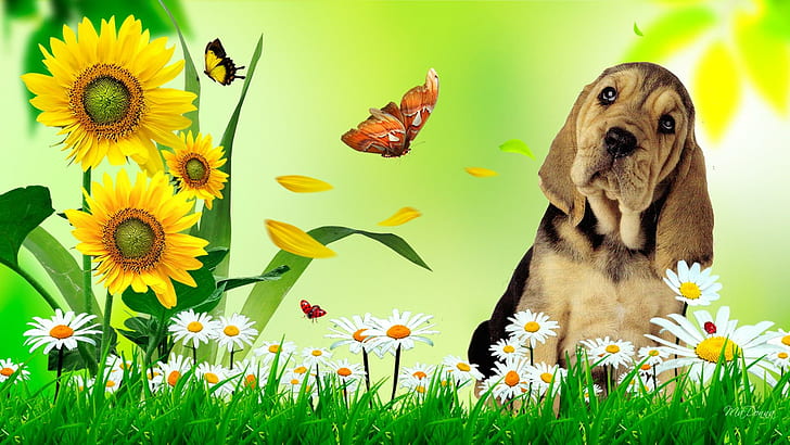 Fun Flowers, puppy, hound, grass, whimsical, daisies, lovable, ladybug, lady bug, butterflies, canine, natur, HD wallpaper