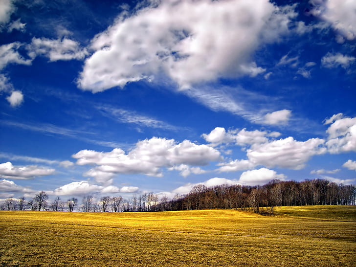 green grass field  near trees under cloudy sky, Sky-High, High  green, green grass, grass field, trees, cloudy, Pennsylvania, Columbia County, Greenwood Township, landscape, clouds, cumulus, rural, spring, creative commons, nature, sky, cloud - Sky, blue, outdoors, rural Scene, meadow, tree, summer, grass, scenics, field, cloudscape, season, green Color, forest, beauty In Nature, non-Urban Scene, springtime, agriculture, sunlight, land, HD wallpaper