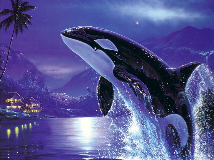 killer Whales, ocean, orcas, water, whale, HD wallpaper