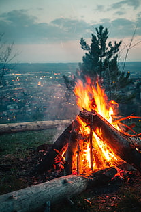 bonfire, fire, sparks, travel, camping, HD wallpaper HD wallpaper