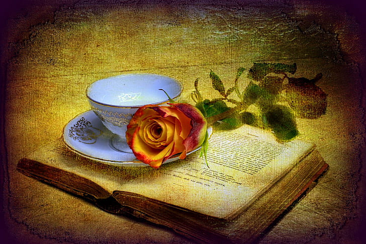 バラの古い本、素敵な素敵な本、葉、静物、きれいなページ、コーヒー、花びら、美しいバラ、 HDデスクトップの壁紙