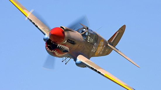 samolot z brązowym rekinem, samoloty wojskowe, Curtiss P-40 Warhawk, P-40, Tapety HD HD wallpaper