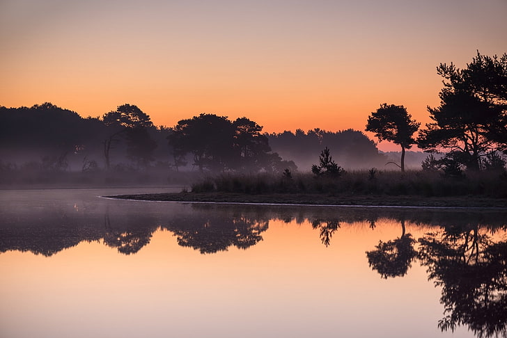 nature, landscape, lake, mist, trees, water, reflection, forest, calm, Netherlands, sunrise, calm waters, HD wallpaper