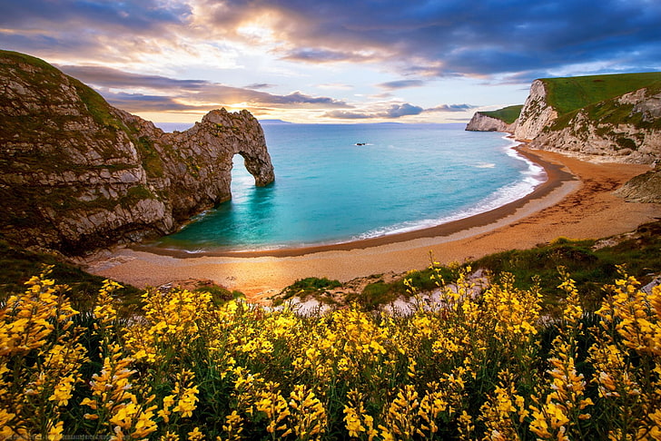 Земя, Дърдъл врата, арка, плаж, скала, Дорсет, Англия, цвете, океан, скала, пясък, жълто цвете, HD тапет