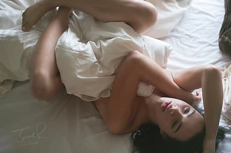Pose, Füße, Hände, Bett, Decke, Jack Russell, HD-Hintergrundbild HD wallpaper