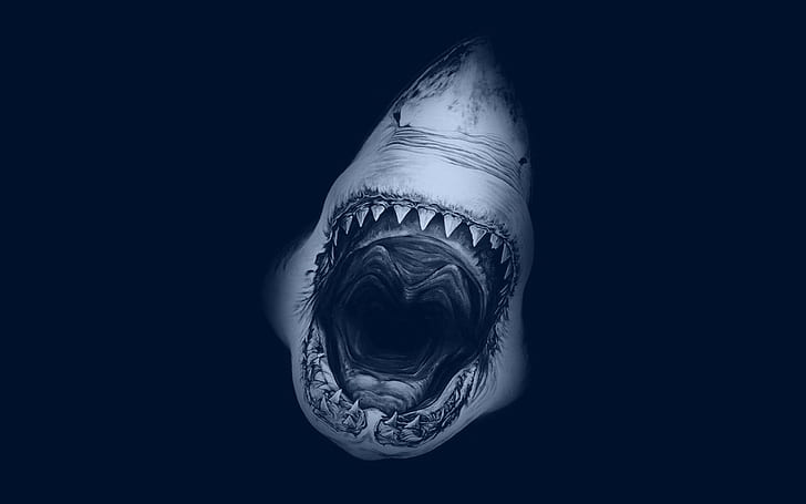 dentes boca aberta dentes de tubarão, HD papel de parede
