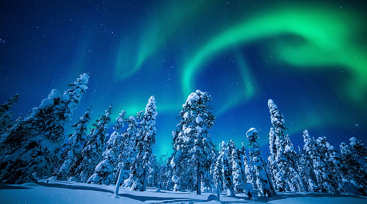 Paisagem, Inverno, Aurora Boreal, Finlândia, Estações do ano, Inverno, Noite, Aurora, Neve, Europa, céu, Lapônia, árvores, Finlândia, Aurora Boreal, HD papel de parede