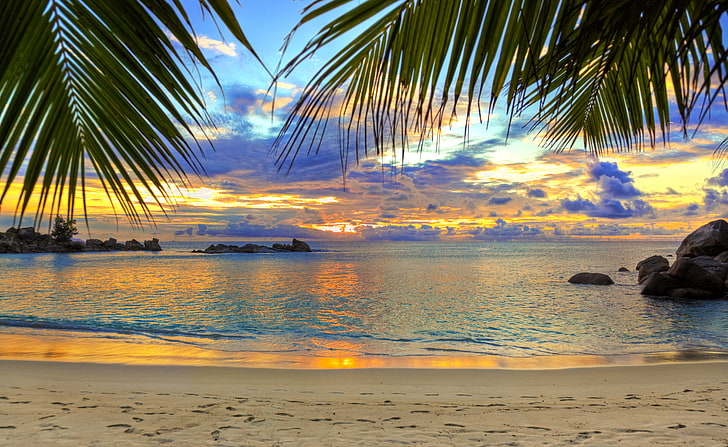 cuerpo de agua, playa, trópicos, mar, arena, palmeras, Fondo de pantalla HD