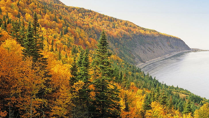 Осенний лес на берегу озера, лес, туман, озеро, осень, природа и пейзажи, HD обои