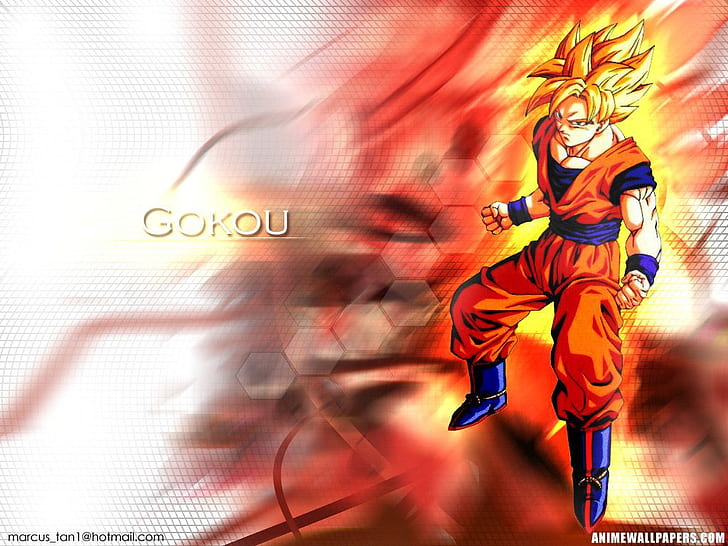 Botas de diferentes colores Goku en rojo Anime Dragonball HD Art, goku,  Fondo de pantalla HD | Wallpaperbetter