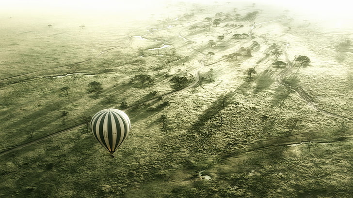 white and black stripe hot air balloon, Serengeti, Africa, nature, landscape, hot air balloons, HD wallpaper