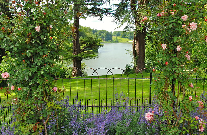 фиолетовое цветущее растение, зелень, трава, деревья, цветы, река, розы, сад, Великобритания, кусты, забор, Оксфордширские сады, HD обои