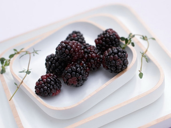 bunch of blackberries, blackberries, plate, useful, berry, HD wallpaper