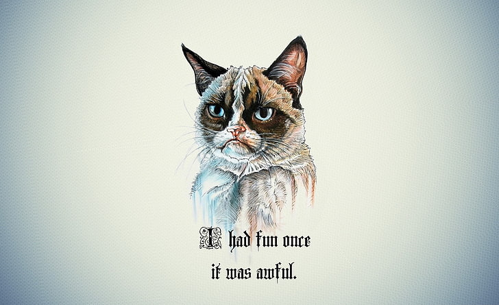 I Had Fun Once It Was Awful Cat, gray cat illustration with text overlay, Funny, Once, Awful, HD wallpaper
