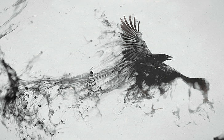 kruk, ptak, latający, dym, czarno-biały, zdjęcia 4k, Tapety HD