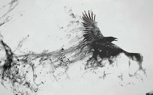 corbeau, oiseau, voler, fumée, noir blanc, 4k photos, Fond d'écran HD HD wallpaper