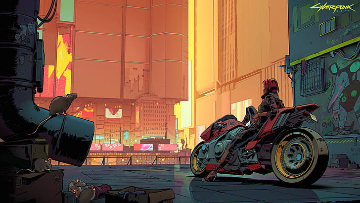 sepeda, pengendara motor, Cyberpunk 2077, Wallpaper HD