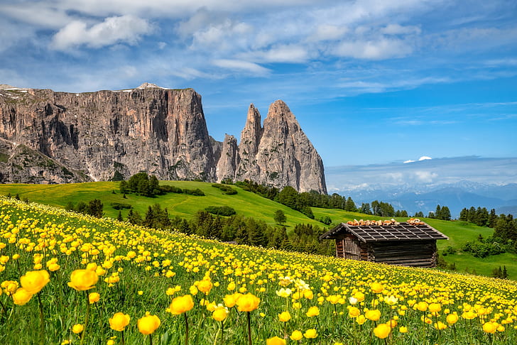 flowers, mountains, meadow, the barn, Italy, buttercups, The Dolomites, South Tyrol, Dolomites, HD wallpaper