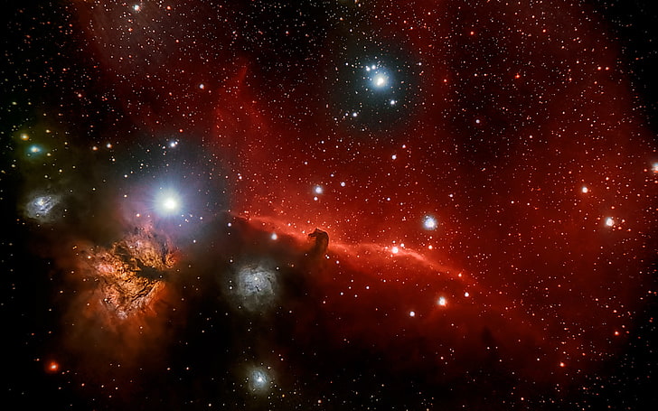Cabeza de caballo, Orión, en la constelación, nebulosa oscura, Fondo de pantalla HD