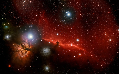 Kepala Kuda, Orion, di rasi bintang, nebula gelap, Wallpaper HD HD wallpaper