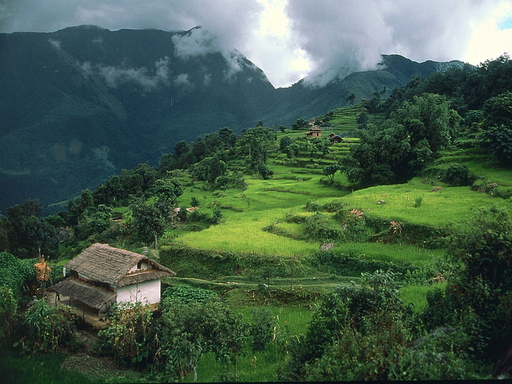 paisagem, ásia, arrozal, arroz terraço, cabana, montanhas, HD papel de parede