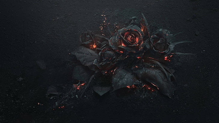 Black rose illustration, rose, ash, burning, black, abstract, dark,  flowers, HD wallpaper | Wallpaperbetter