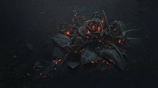 papier peint rose noire, fleurs, rose, feu, gothique, Fond d'écran HD HD wallpaper