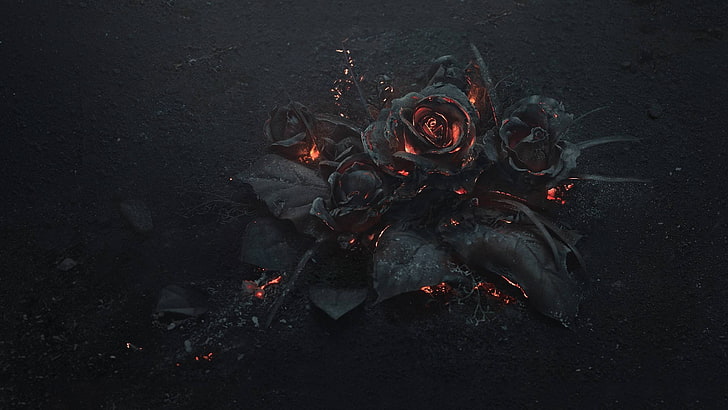 Gothic, flowers, fire, rose, HD wallpaper
