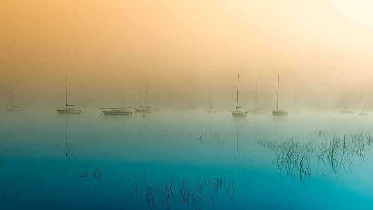 лодка, мъгла, природа, вода, HD тапет