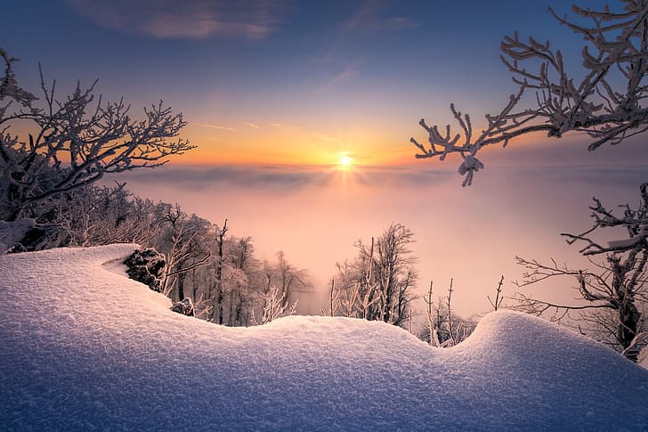 winter, snow, trees, branches, sunrise, dawn, morning, the snow, Slovakia, Radoslav Cernicky, Small Carpathians, HD wallpaper