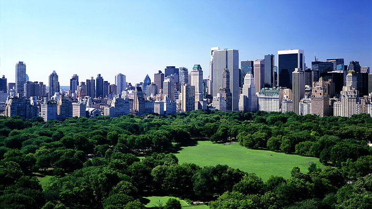высотные здания, природа, городской пейзаж, нью-йорк, сша, центральный парк, деревья, трава, здания, небоскреб, парк, HD обои