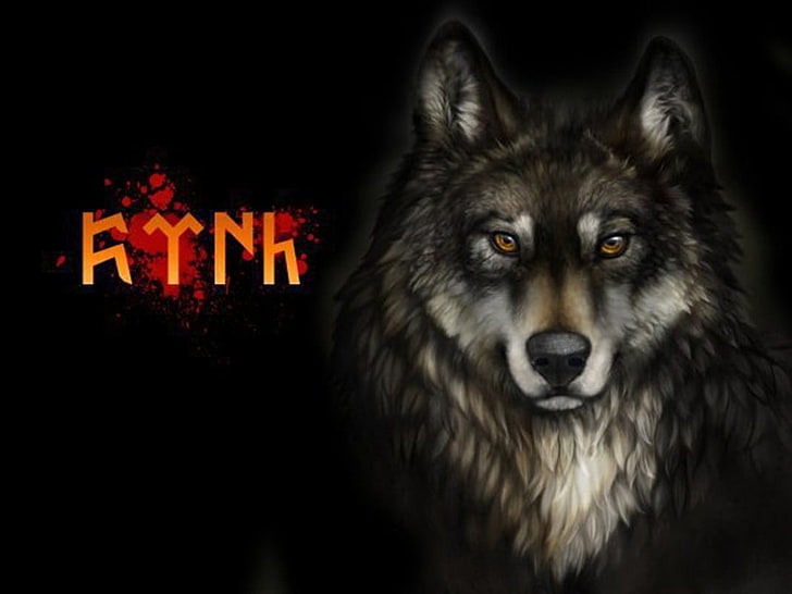 illustration of wolf, wolf, HD wallpaper