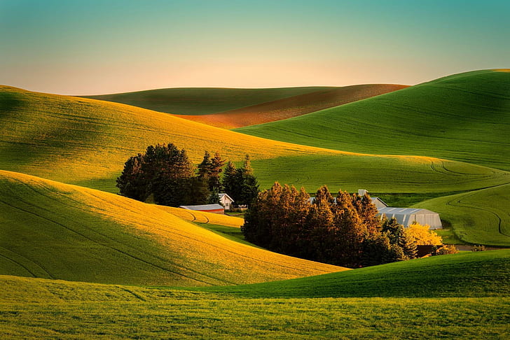 field, grass, landscape, farm, field, grass, landscape, farm, HD wallpaper