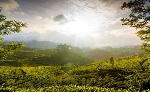 Wzgórze Munnar, Indie, zielone wzgórza, przyroda, krajobraz, Azja / Indie, piękne, wzgórze Munnar, kerala, indie, herbata, pole herbaty, podróże, pole zielonej herbaty, ogród herbaciany, ogrody herbaciane w Munnar, Tapety HD HD wallpaper