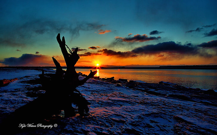 Beautiful Alaska natural scenery desktop wallpaper.., driftwood and body of water, HD wallpaper
