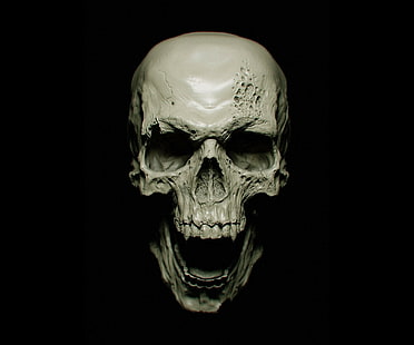 暗い、吸血鬼、頭蓋骨、黒の背景、 HDデスクトップの壁紙 HD wallpaper