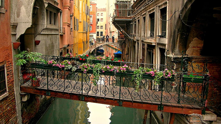pink flowering plants, brown wooden bridge with black railings, cityscape, architecture, town, building, Venice, Italy, water, bridge, old building, house, window, flowers, boat, reflection, canal, HD wallpaper