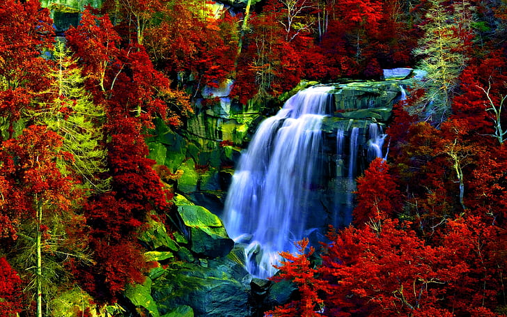 Chute d'eau, rochers, fond de feuilles de forêt rouge Hd 2560 × 1600, Fond d'écran HD