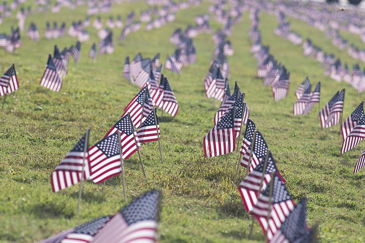 วันหยุด, วันทหารผ่านศึก, ธงชาติอเมริกัน, ธง, หญ้า, วันแห่งความทรงจำ, วอลล์เปเปอร์ HD