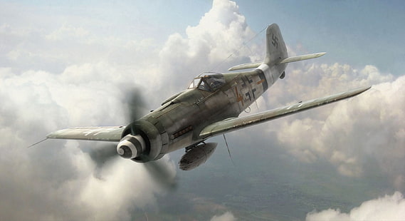 белый и серый самолет, самолеты, война, самолет, авиация, ww2, воздушный бой, немецкий самолет, fw 190, HD обои HD wallpaper