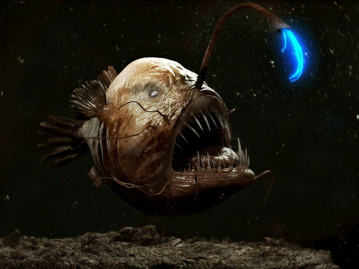 Anglerfish, creepy, Dark, fangs, fish, monster, ocean, sea, underwater, HD wallpaper