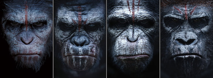 Fond d'écran Rise of the Planet of Apes, Planète des singes, Aube de la planète des singes, singes, films, science-fiction, collage, Fond d'écran HD